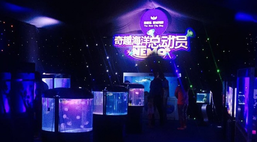 雅居樂新城灣畔海洋季體驗